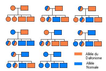 3. Pourquoi cela ne fonctionne t il pas quelle en est l origine